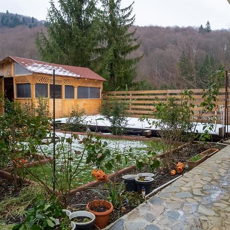 Casa Nicolas Buşteni Exterior foto