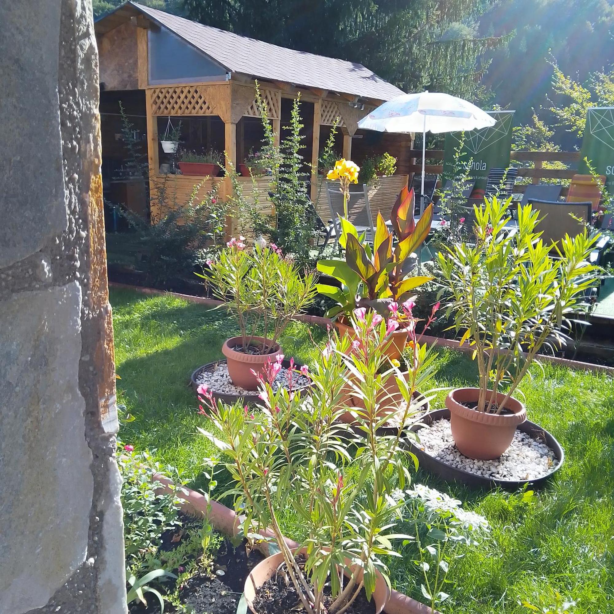Casa Nicolas Buşteni Exterior foto